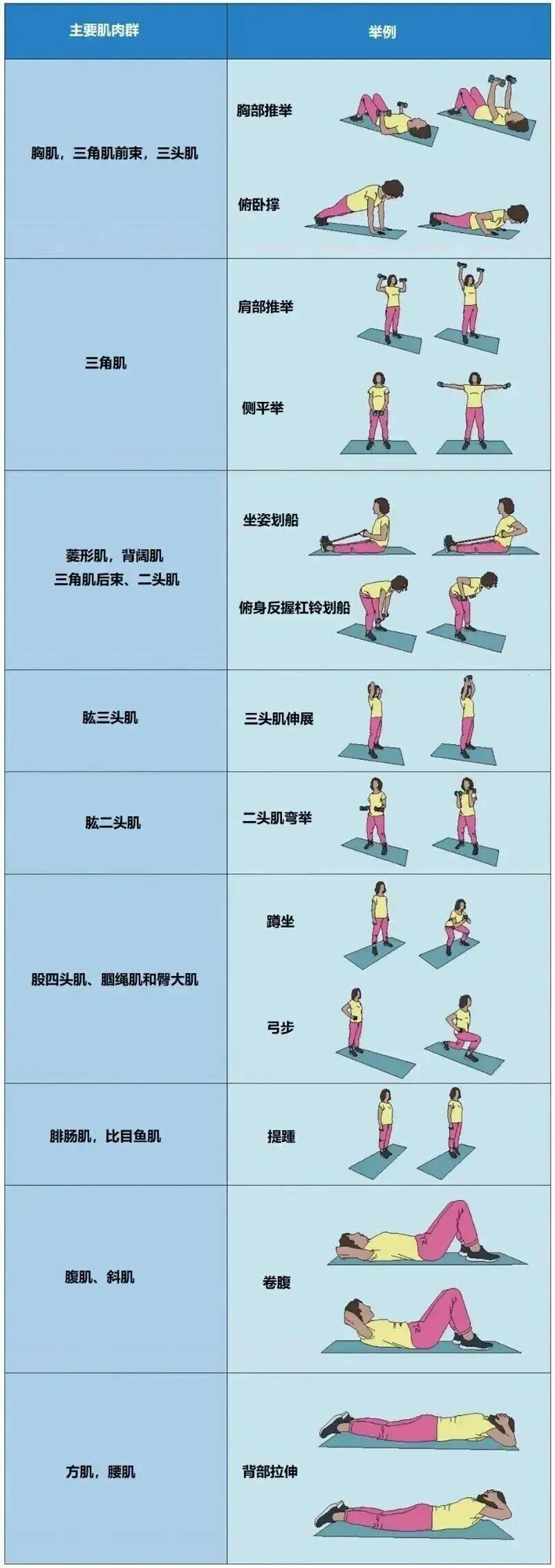斗求体育